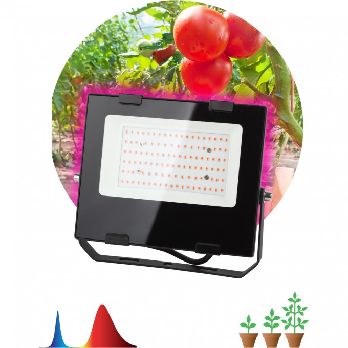 Фитопрожектор для растений светодиодный ЭРА FITO-50W-RB-LED для цветения и плодоношения красно-синего спектра 50 Вт B0046368 Фитопрожектор для растений светодиодный ЭРА FITO-50W-RB-LED для цветения и плодоношения красно-синего спектра 50 Вт B0046368