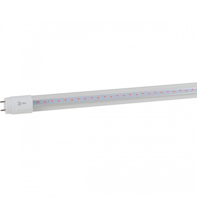Лампа светодиодная ЭРА FITO-18W-RB-Т8-G13-NL Б0042990 18Вт T8 линейная 96LED 2835 IP20 35000ч для растений/для подсветки мясных витрин красный/синий спектр стекло B0042990 Лампа светодиодная ЭРА FITO-18W-RB-Т8-G13-NL Б0042990 18Вт T8 линейная 96LED 2835 IP20 35000ч для растений/для подсветки мясных витрин красный/синий спектр стекло B0042990