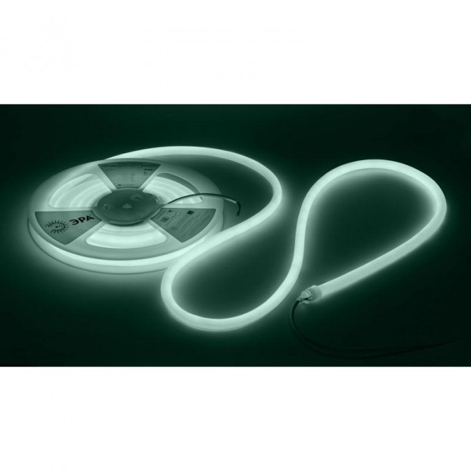 Лента светодиодная ЭРА Б0062329 LS2835-9.6-120-24-6500K-IP68-5м 24В термостойкая для бани холодный белый B0062329 Лента светодиодная ЭРА Б0062329 LS2835-9.6-120-24-6500K-IP68-5м 24В термостойкая для бани холодный белый B0062329