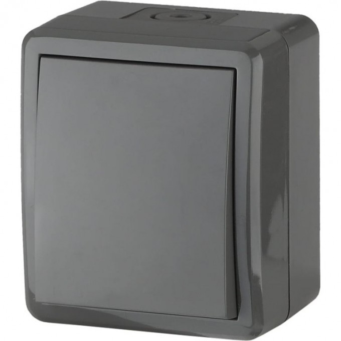 Переключатель ЭРА ЭКСПЕРТ IP54 10АХ-250В ОУ серый B0020674 Переключатель ЭРА ЭКСПЕРТ IP54 10АХ-250В ОУ серый B0020674