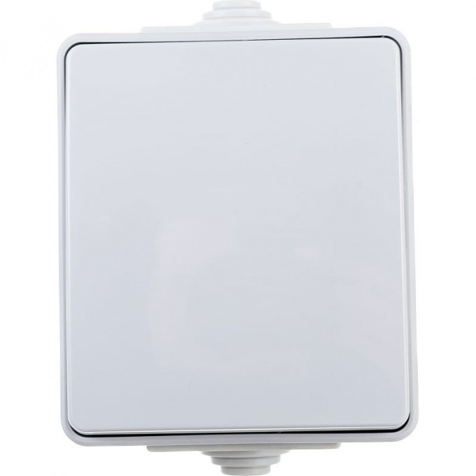 Переключатель ЭРА ЭКСПЕРТ IP65 10АХ-250В ОУ серый B0035975 Переключатель ЭРА ЭКСПЕРТ IP65 10АХ-250В ОУ серый B0035975