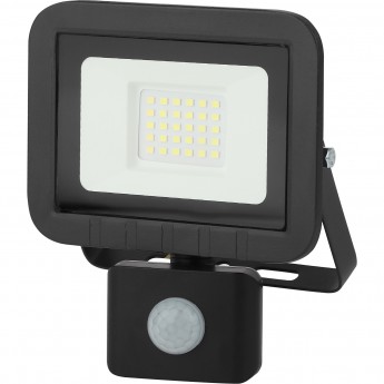 Прожектор светодиодный уличный ЭРА LPR-041-2-65K-030 30Вт 6500К 2400Лм IP65 датчик движения регулируемый Прожектор светодиодный уличный ЭРА LPR-041-2-65K-030 30Вт 6500К 2400Лм IP65 датчик движения регулируемый