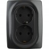 Розетка ЭРА 12-2106-05 2X2P+E SCHUKO 16A-250В IP20 ЭРА12 антрацит B0031232 Розетка ЭРА 12-2106-05 2X2P+E SCHUKO 16A-250В IP20 ЭРА12 антрацит B0031232