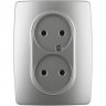 Розетка ЭРА 12-2107-03 2X2P 16A-250В IP20 ЭРА 12 алюминий B0031240 Розетка ЭРА 12-2107-03 2X2P 16A-250В IP20 ЭРА 12 алюминий B0031240