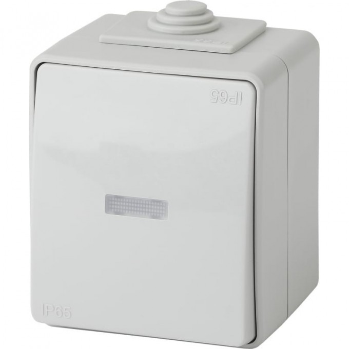 Выключатель ЭРА ЭКСПЕРТ с подсветкой IP65 10АХ-250В ОУ серый B0035974 Выключатель ЭРА ЭКСПЕРТ с подсветкой IP65 10АХ-250В ОУ серый B0035974