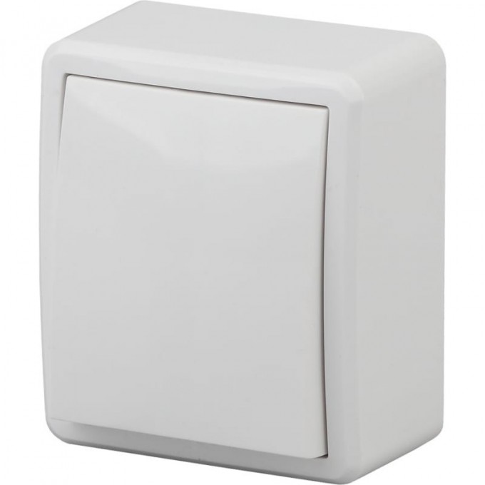 Выключатель ЭРА 10АХ-250В IP20 ОУ ЭРА ЭКСПЕРТ белый B0020653 Выключатель ЭРА 10АХ-250В IP20 ОУ ЭРА ЭКСПЕРТ белый B0020653